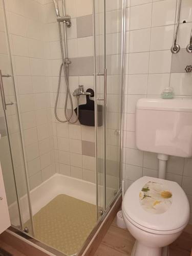 a bathroom with a toilet and a glass shower at Apartment in Primosten with sea view, balcony, air conditioning, WiFi 5155-1 in Primošten