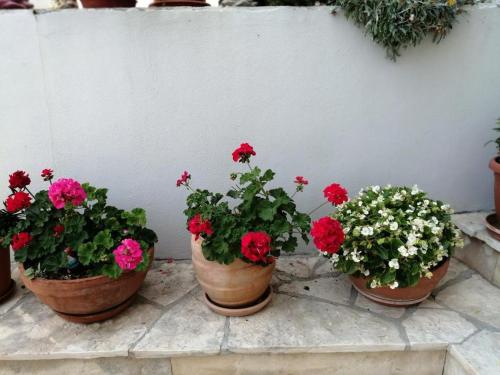 four pots of flowers sitting next to a wall at Apartment in Primosten with sea view, balcony, air conditioning, WiFi 5155-1 in Primošten