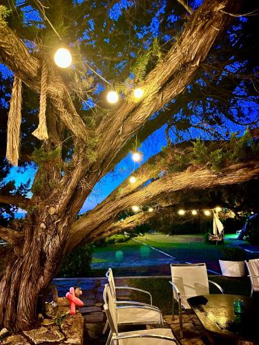 a group of chairs and a table under a tree at Genari Beach Apartments Sea View Apartment for Couples or Small Families in Korakokhórion