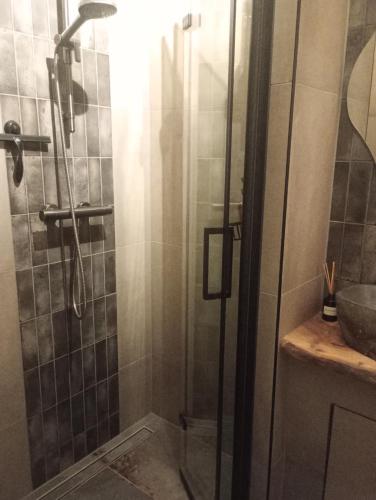 a shower with a glass door in a bathroom at Studio Bed and Breakfast Zaans Moment in Assendelft