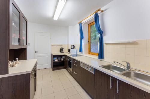 eine große Küche mit einer Spüle und einer Theke in der Unterkunft Diana Vendégház in Bükkösd