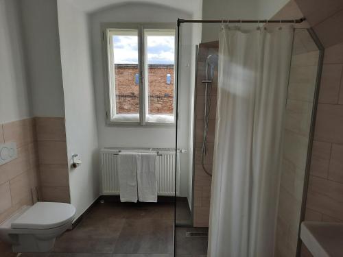 a bathroom with a shower and a toilet and a window at Gästehaus Benediktinerstift Göttweig - Bed & Breakfast Monastery in Furth