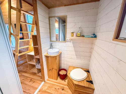a small bathroom with a toilet and a sink at Centre Harmonia in Rennes-les-Bains