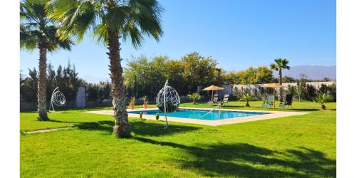a swimming pool in a park with palm trees at L'Oasis in Mzerguia