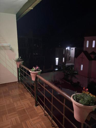 a balcony with two potted plants on a railing at night at HOTEL Mare in Ureki