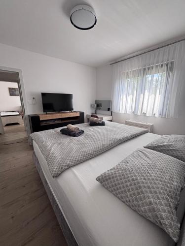 a white bedroom with two beds and a television at Vila Roza in Husinec