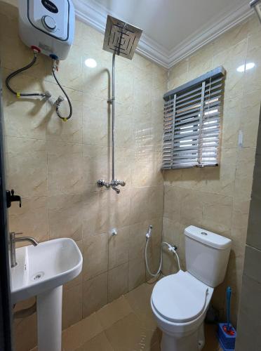 a bathroom with a toilet and a sink and a shower at Cozy Court Apartment in Ifako