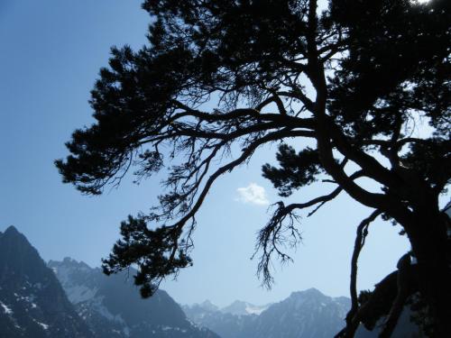 Afbeelding uit fotogalerij van Bel Arrayo - gîte d'accueil de montagne - chambres d'hôtes in Cauterets