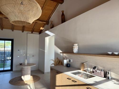 ジャッレにあるVilla Lycheeのシンクとカウンタートップのあるキッチン