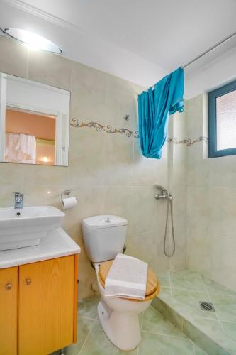 a bathroom with a toilet and a sink at Ktima Xiliadou in Chiliadou