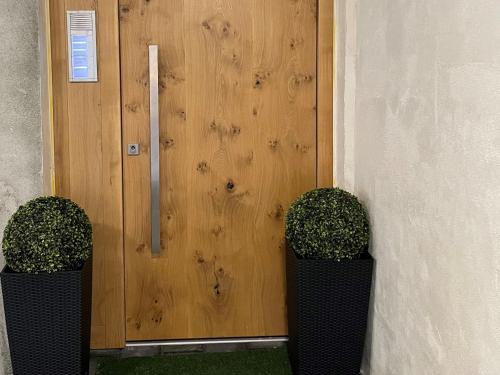 two plants in front of a wooden door at Ferienwohnungen St Marien in Gengenbach