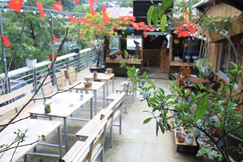 a row of tables with potted plants in a store at Sapa Succulent Garden Homestay in Sa Pa