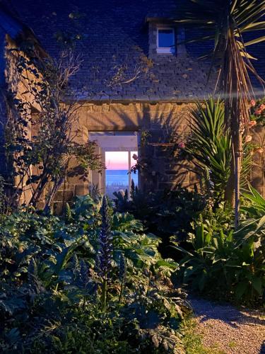 Κήπος έξω από το Villa Les Pieds dans l'Eau