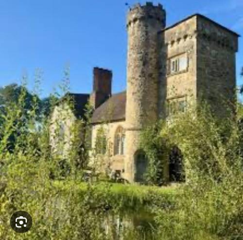 an old building with a tower on top of a field at Quirky Castle on a lake in East Sussex in Mayfield