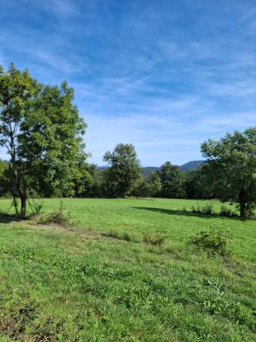 a field of green grass with trees in the background at Mas Al Parry in Saint-Marsal