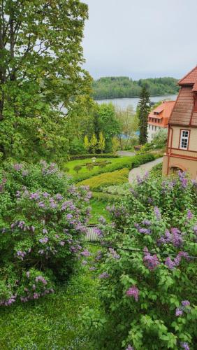 a garden with purple flowers in front of a house at Trepimäe Guest Apartment in Viljandi