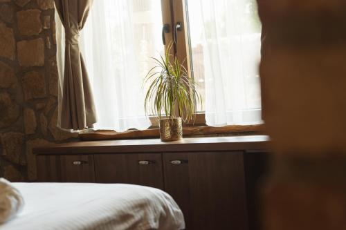 a bedroom with a window with a plant on a counter at Kompleks Etno Luks in Crvulevo