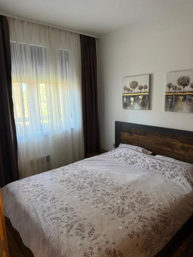 a bedroom with a large bed and a window at Leo Pine Lux Apartments in Zlatibor