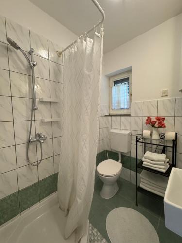 a white bathroom with a shower and a toilet at Apartment Villa Zizzy in Rakovica