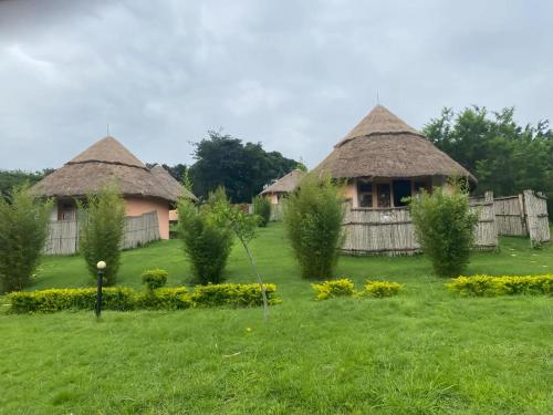 a group of huts with thatched roofs in a field at Muhazi Flowers Beach & Resorts in Rwamagana