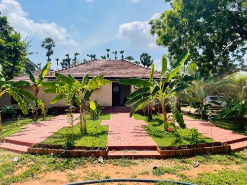 a house with a pathway in front of it at Aachchi Country Home by ABC Leisure's group in Jaffna