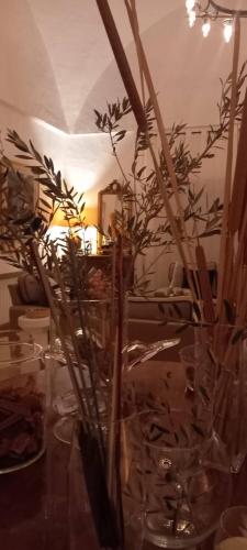 Φωτογραφία από το άλμπουμ του Dar Jbel σε Dar Retba
