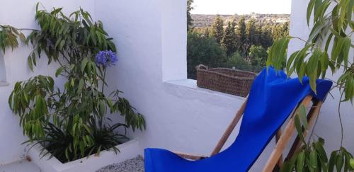 Κήπος έξω από το Dar Jbel