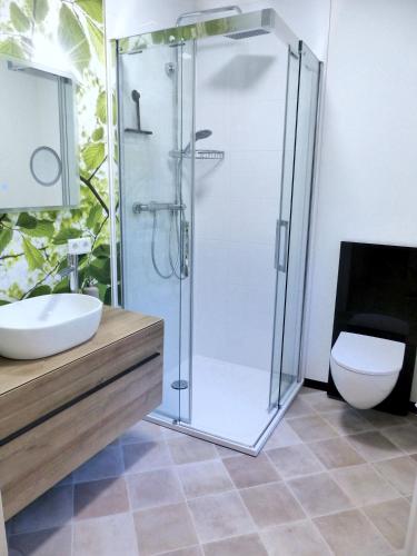 a bathroom with a shower and a toilet at Waldhaus Deluxe in Zorge in Walkenried