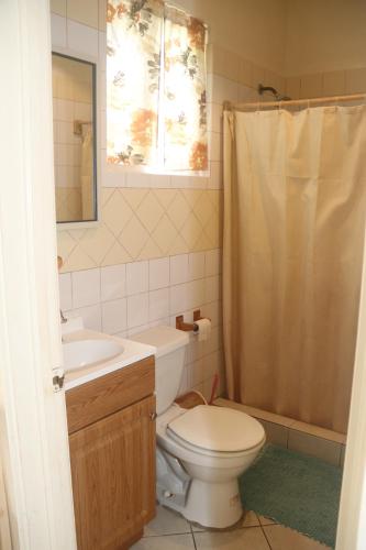 a bathroom with a toilet and a sink and a shower at Soufriere Guesthouse in Soufrière