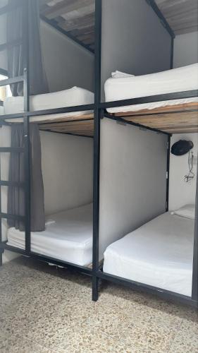 a room with four bunk beds in a room at Baku Laureles Hostel in Medellín
