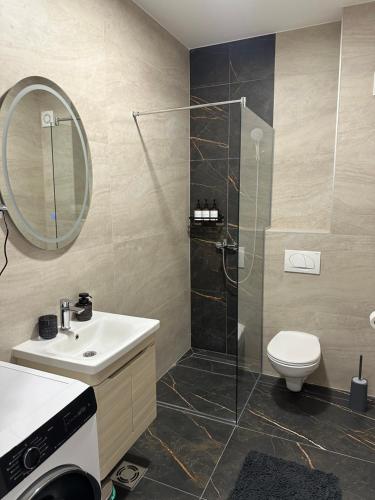 a bathroom with a shower and a sink and a toilet at The Wolf Residence in Inđija