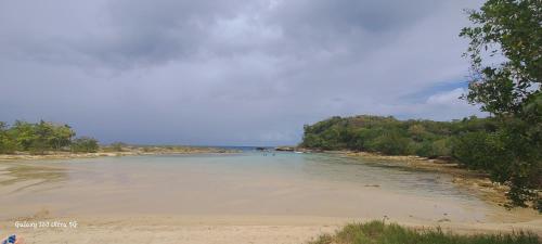 a body of water with a beach and trees at Spacieux haut de villa proche plage in Anse-Bertrand