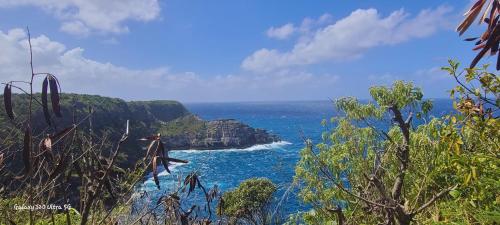a view of the ocean from a cliff at Spacieux haut de villa proche plage in Anse-Bertrand