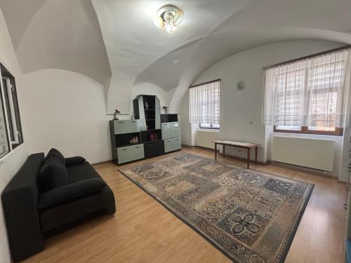 Apartament central zone