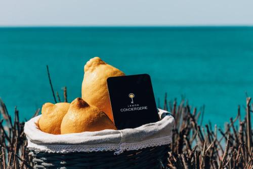 a basket of bread with a book in it at Maison cozy plage & jardin in Saint-Brevin-les-Pins