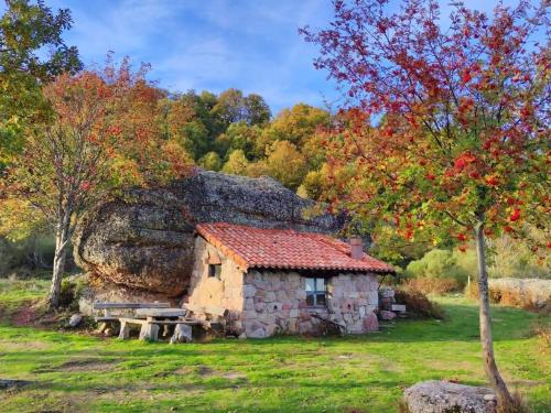 an old stone house in the middle of a field at Casa Dulcinea en Brañosera in Brañosera