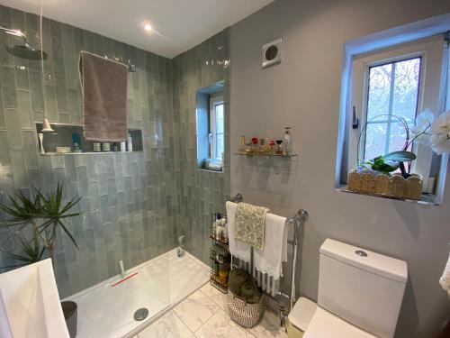 une salle de bain avec une baignoire, des toilettes et une douche dans l'établissement Modern home in Cardiff City Centre, à Cardiff
