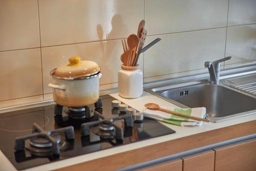 a kitchen counter with a pot on a stove at Villa Theresa in Ližnjan (Haus für 12 Personen) in Ližnjan