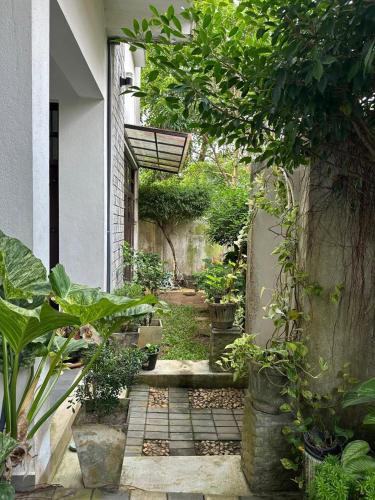 a garden with plants on the side of a building at Moonbeam Villa in Colombo