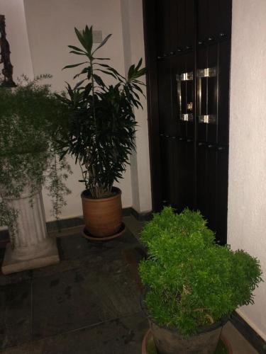 two potted plants are sitting next to a door at Moonbeam Villa in Colombo