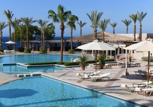 a pool at a resort with palm trees and umbrellas at JAZ Fanara Resort in Sharm El Sheikh