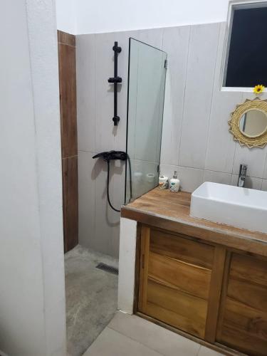 Salle de bains dans l'établissement Apartamento Autentico y dominicano con AC - Cafecito