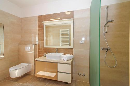 une salle de bain avec un lavabo, des toilettes et une douche dans l'établissement Villa Marija in Pekici (Haus für 8-10 Personen), à Svetvinčenat