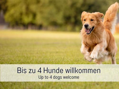 Mascotas con sus dueños en Traum-Ferienhaus Burghalde