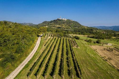 an aerial view of a farm with a hill at Villa Tia in Kukurini - Haus für 8 Personen in Pićan