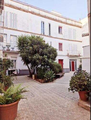 Loft luz del Duque