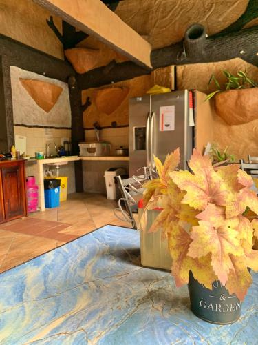a kitchen with a refrigerator and a vase of flowers at Poshtel Arenal in Fortuna