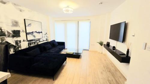 a living room with a black couch and a television at The ascension 'Ascalon ' in London