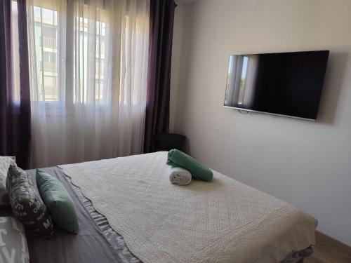 a bedroom with a bed with a television on the wall at Le balcon de la basse centre ville de Perpignan in Perpignan