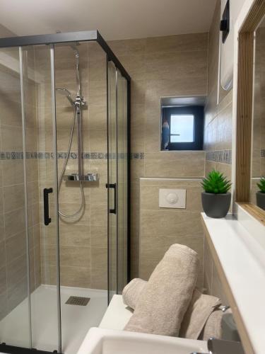 un bagno con doccia con box doccia in vetro di Charmant Studio village montagne a Bastelica
